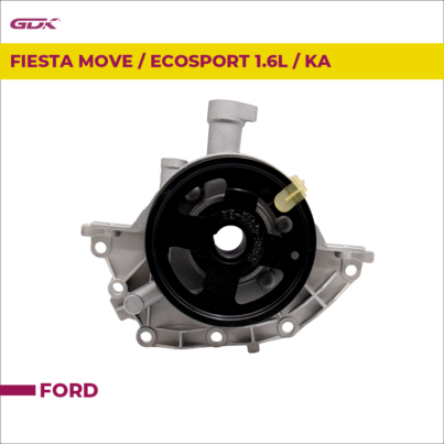 Ford-Fiesta-Bomba-Aceite1