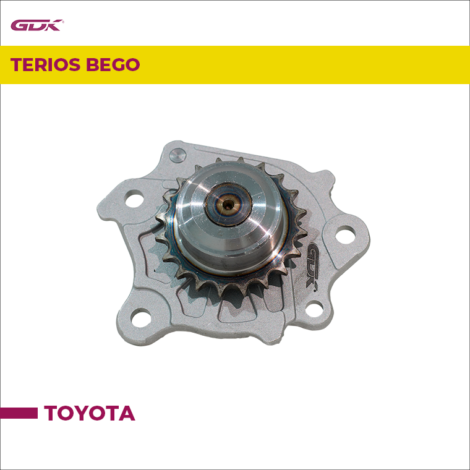 terios beigo