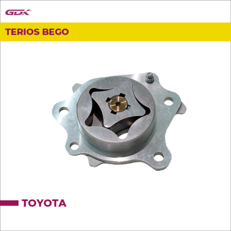 terios beigo2