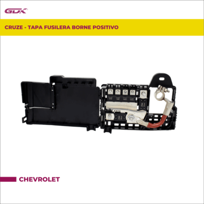 GDK-96889385 (2)